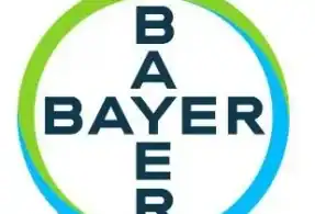 Customer Service Representative SAC