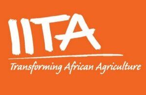 IT Support Assistant