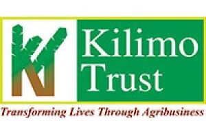 Finance & Administration Intern