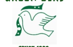 Job Vacancies at Green Bird Education Institution