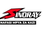7 Jobs at SINORAY Tanzania July 2026