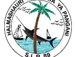 Driver Jobs at Pangani District Council July 2026