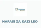 New Jobs at Serene Microfinance July 2026